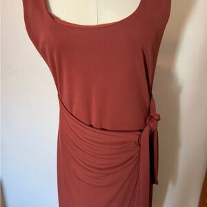 Express Rust Tie-Side Mini Dress